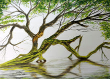 Load image into Gallery viewer, Backwater Tree, Framed Original Watercolor