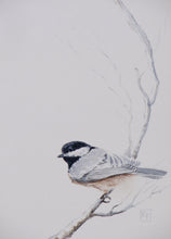 Load image into Gallery viewer, Black-capped Chickadee, Framed Original Watercolor