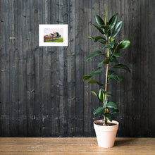 Load image into Gallery viewer, Charlie's Lock Print (30 x 40 cm)