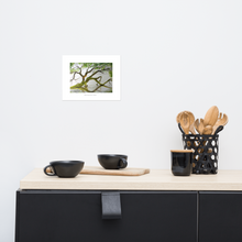 Load image into Gallery viewer, Backwater Tree, Print (8x10)