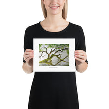 Load image into Gallery viewer, Backwater Tree, Print (8x10)