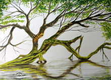 Load image into Gallery viewer, Backwater Tree, Framed Original Watercolor
