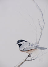 Load image into Gallery viewer, Black-capped Chickadee, Framed Original Watercolor
