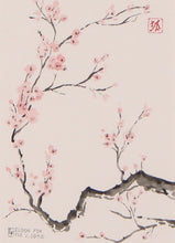 Load image into Gallery viewer, Cherry Blossoms, Framed Original Watercolor
