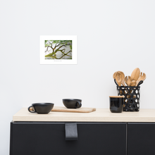 Load image into Gallery viewer, Backwater Tree, Print (8x10)
