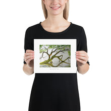 Load image into Gallery viewer, Backwater Tree, Print (8x10)
