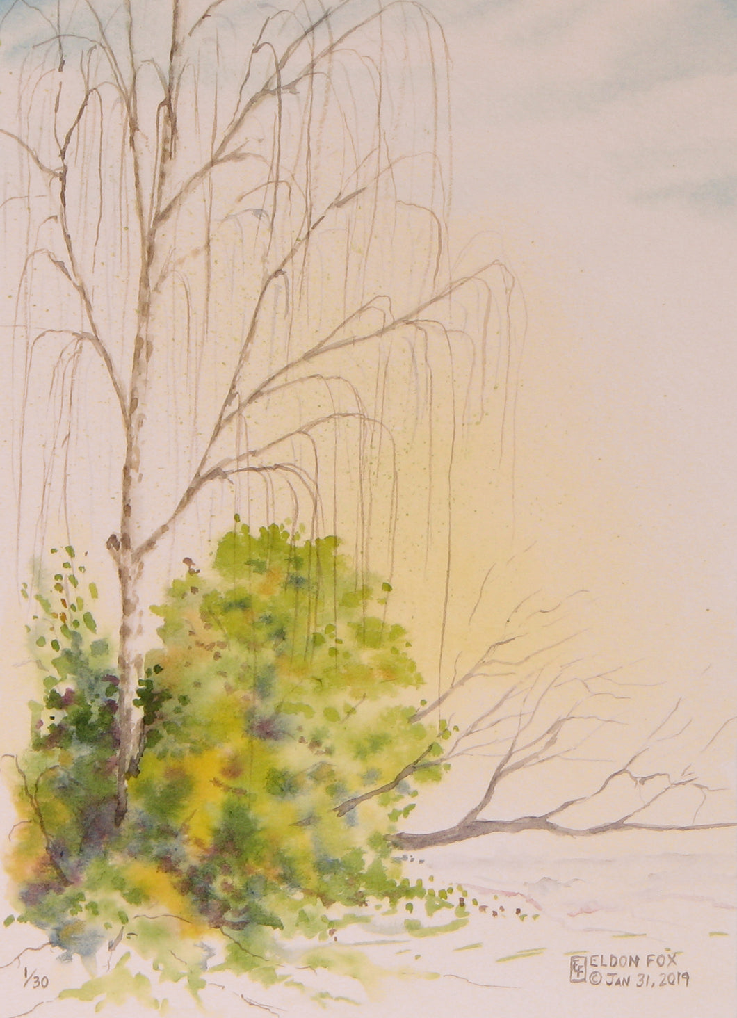 Spring Study, Watercolor Sketch (8x10)